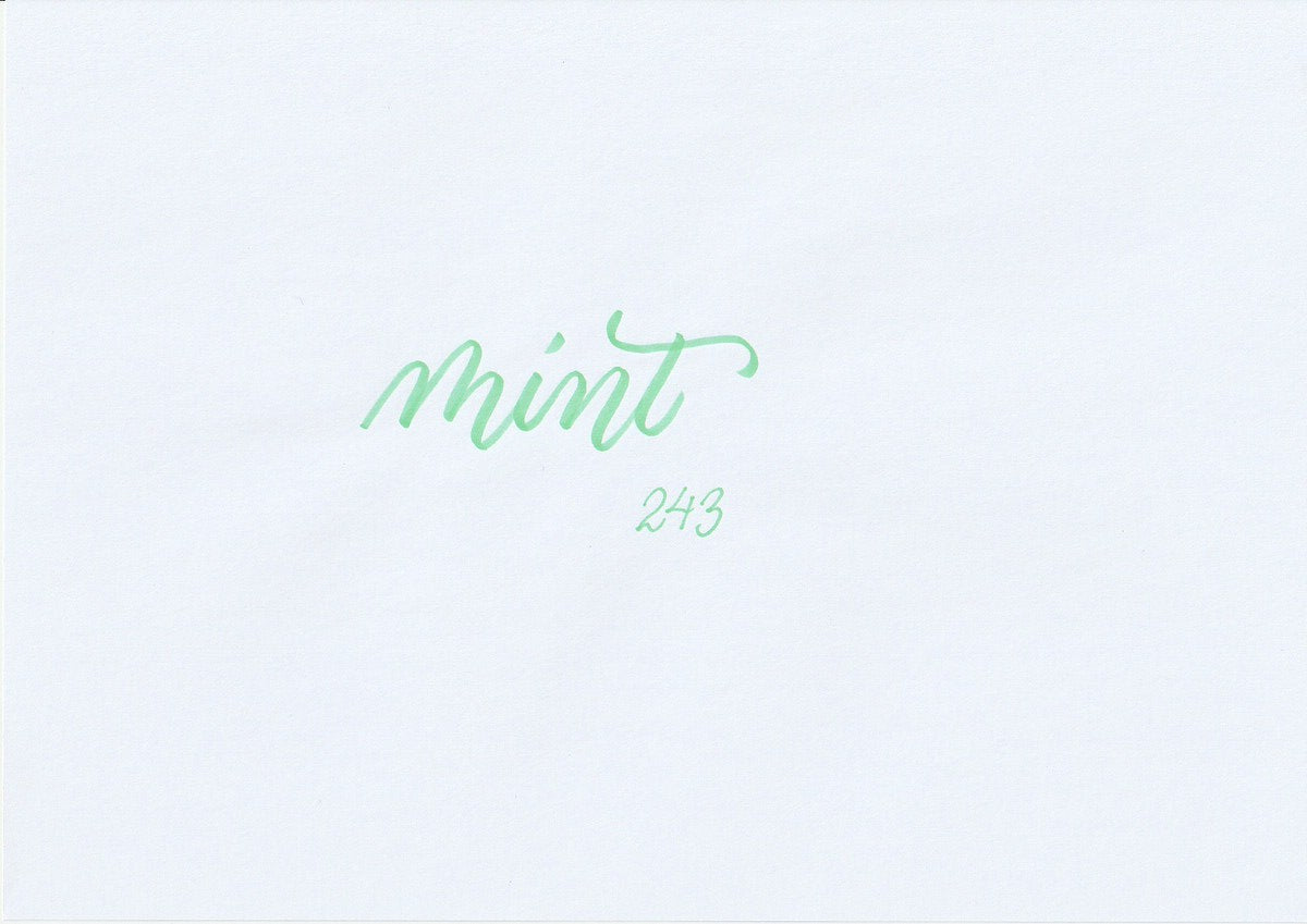 ABT Dual Brush pen - 243 Mint - 4 - Tombow - Tidformera