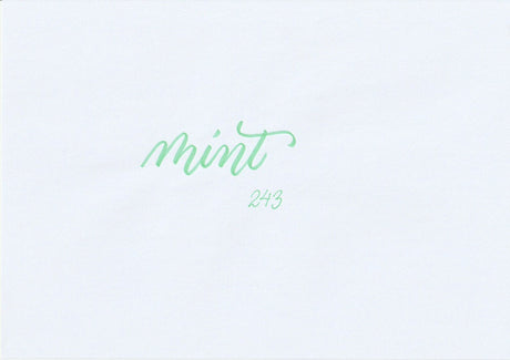 ABT Dual Brush pen - 243 Mint - 4 - Tombow - Tidformera