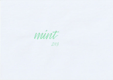 Handskriven text med ordet "mint" i mintgrön färg, skriven med ABT Dual Brush Pen i nyansen 243 Mint.