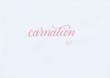 Handskriven text med ordet "carnation" i nejlikerosa färg, skriven med ABT Dual Brush Pen i nyansen 761 Carnation.