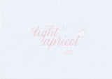 ABT Dual Brush pen - 850 Light apricot - 3 - Tombow - Tidformera