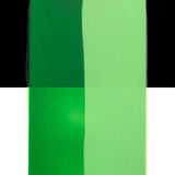 Akrylfärg Liquitex Basics Fluid 118ml - Light Green Permanent 312 - 3 - Liquitex - Tidformera