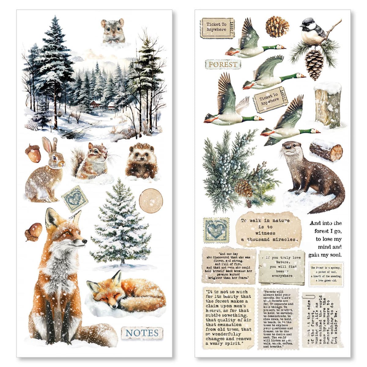 Art stickers 5 - pack - Forest Tales - 3 - Ciao Bella - Tidformera