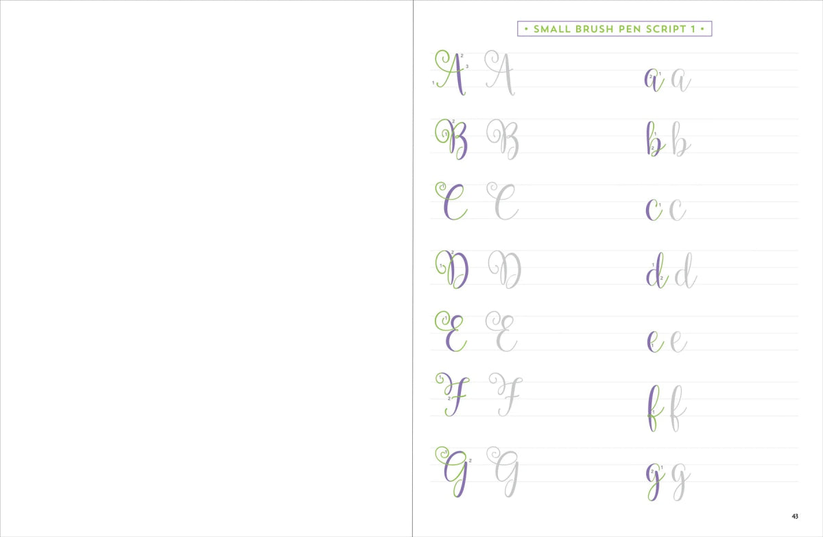 Brush Lettering Workbook - Learn 9 brush lettering alphabets - 5 - Peter Pauper Press - Tidformera