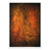 Rice paper set - A4 - Black & color