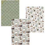 Deluxe &amp; Vellum Dual pack A4 - 6-pack Forest Tales