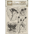 Clear stamps Herbarium Silvae - Botanic - 1 - Stamperia - Tidformera