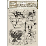 Clear stamps Herbarium Silvae - Botanic - 1 - Stamperia - Tidformera