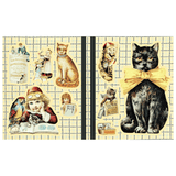 Cynthia Hart's Victoriana Cats: The Sticker Book - 8 - Other - Tidformera