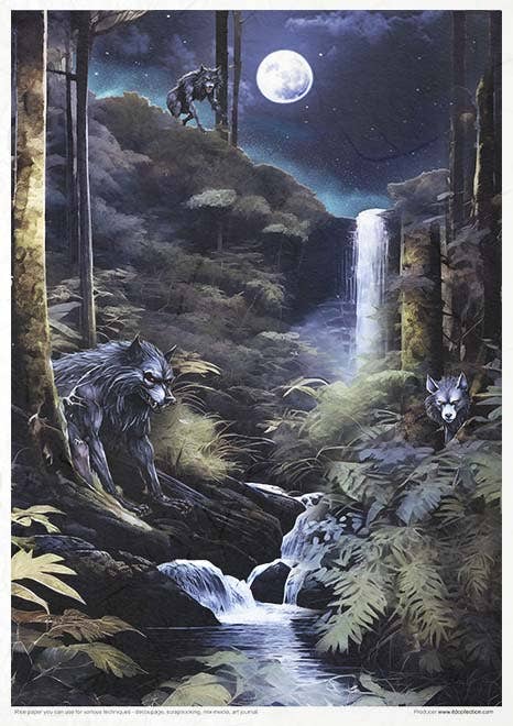 Rice paper set - A4 - Mysterious creatures
