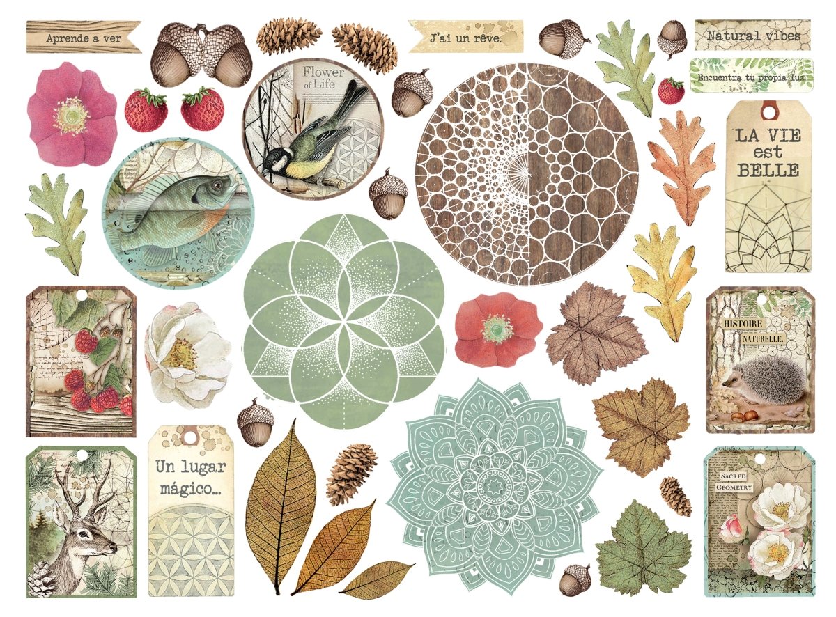 Die cuts Forest Assorted 41 st - Stamperia - Tidformera