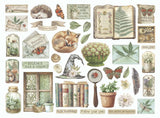 Die cuts - Herbarium Silvae - Assorted - 2 - Stamperia - Tidformera