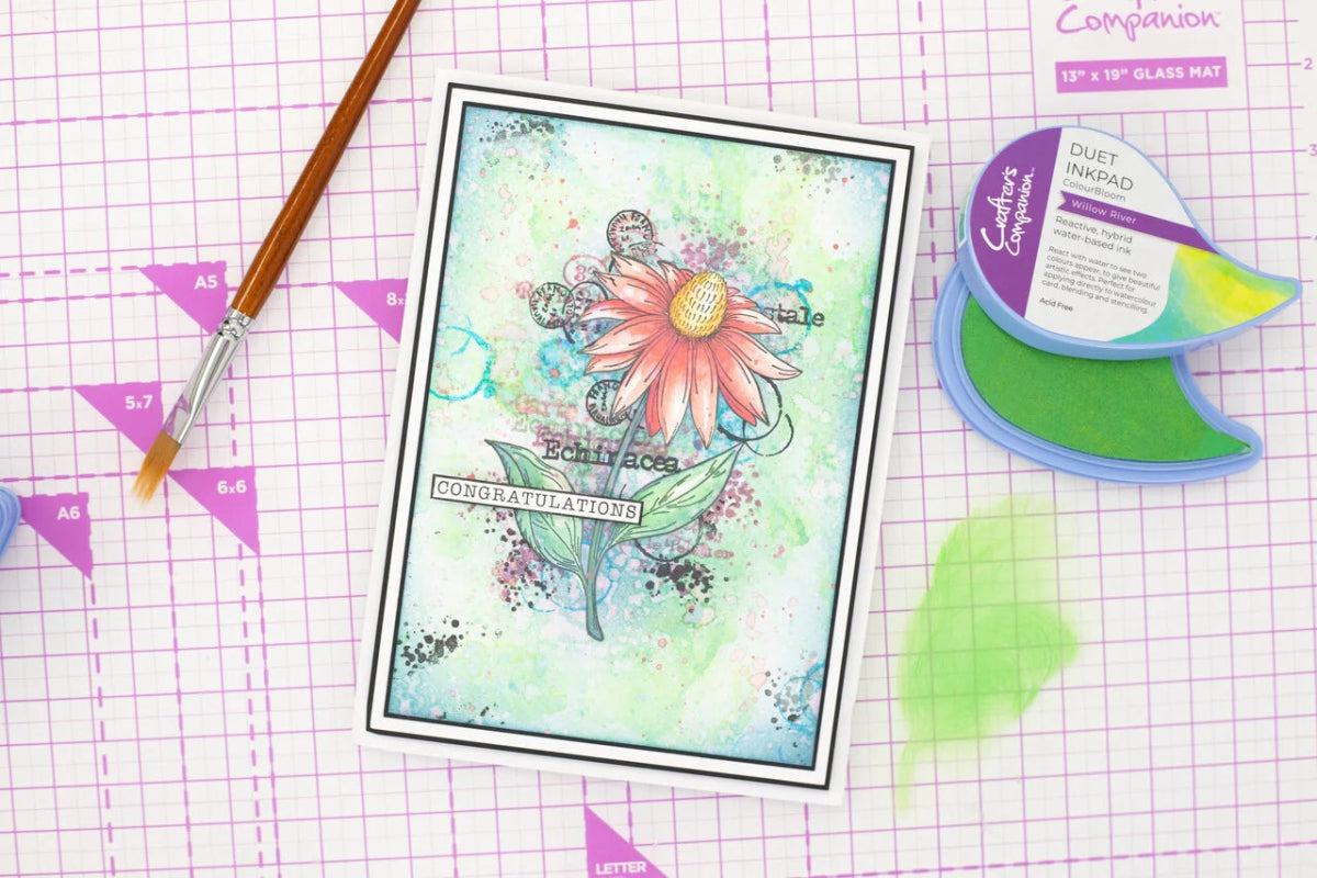 Duet ColourBloom Inkpad Willow River - Crafter's Companion - Tidformera