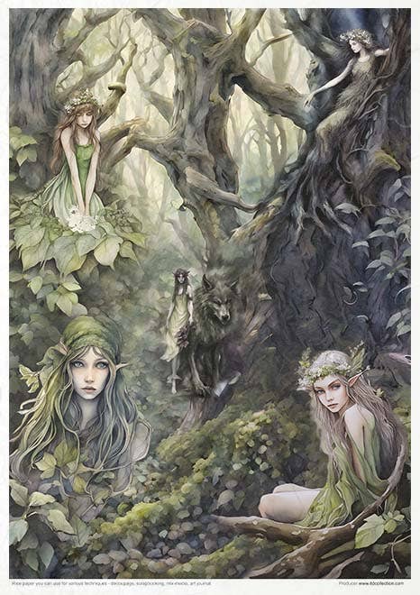 Rice paper set - A4 - Mysterious creatures