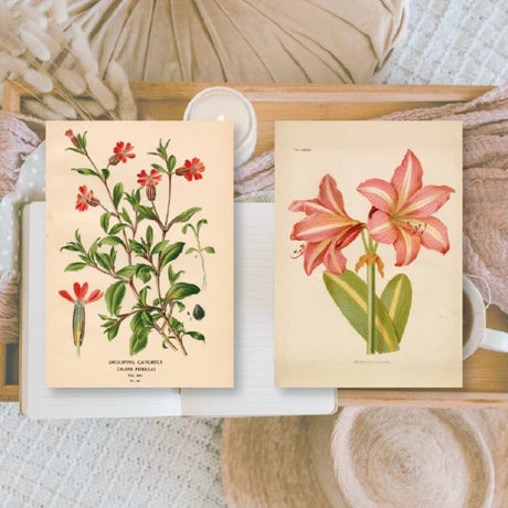 Ephemera Paper 7,4 x 10,5 - Botanicals - 3 - Plan & Plot Studio - Tidformera