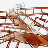 Essential filmstrips - Citrus - 49 and Market - Tidformera