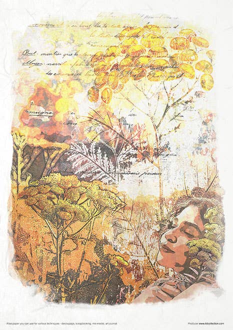 Rice paper set - A4 -  Herbalist