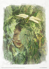 Rice paper set - A4 -  Herbalist