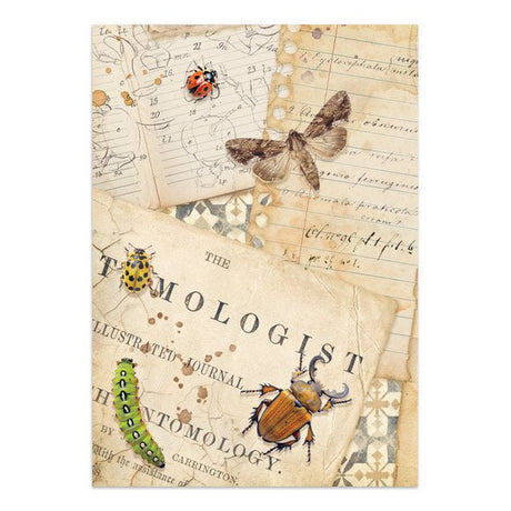 Focus points - Junk Journal - All Around - 20 - Stamperia - Tidformera