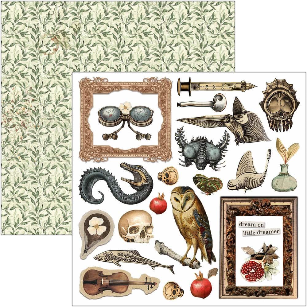 Fussy Cut Pad 24 - pack - Cabinet of curiosities - 8 - Ciao Bella - Tidformera