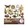 Fussy Cut Pad 24 - pack - Cabinet of curiosities - 1 - Ciao Bella - Tidformera