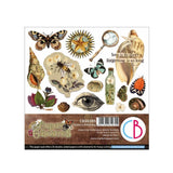 Fussy Cut Pad 24 - pack - Cabinet of curiosities - 1 - Ciao Bella - Tidformera
