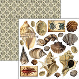 Fussy Cut Pad 24 - pack - Cabinet of curiosities - 6 - Ciao Bella - Tidformera