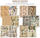 Junk Journal & Ephemera book - Cabinet of Curiosities - 3 - Ciao Bella - Tidformera