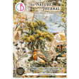 Junk Journal & Ephemera book - The Nature Journal - 1 - Ciao Bella - Tidformera