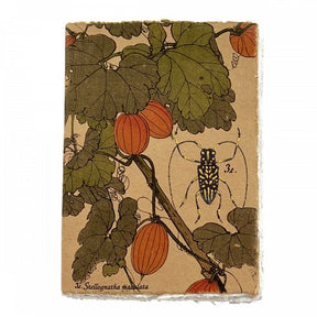 Liasse Trésor Thé Notebook N31 - 1 - Lamali - Tidformera