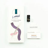 Lumos Pro Refillable Multi - Tip Pen - Duo Tip - Ivy - 3 - Tom's Studio - Tidformera