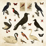 Mystical Ephemera! Sticker book - 3 - Peter Pauper Press - Tidformera