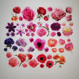 Pet Tape - MIC - Bright Blooms Glossy & Embossed 60 mm - 3 - MIC & MIM Premium Paper Shop - Tidformera