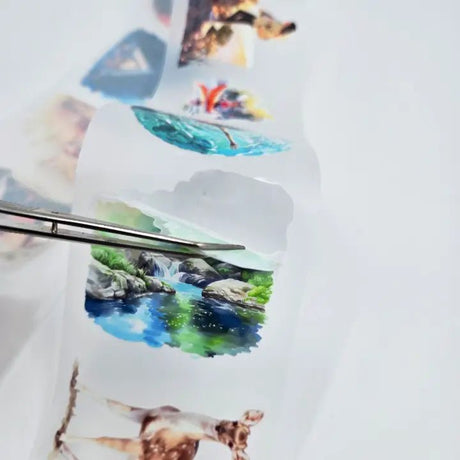 Pet Tape Pre - cut - MIC - Great Outdoors 3D Glossy 70 mm - 2 - MIC & MIM Premium Paper Shop - Tidformera