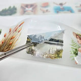 Pet Tape Pre - cut - MIC - Lakeside Days 3D Glossy 70 mm - 2 - MIC & MIM Premium Paper Shop - Tidformera
