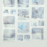 Pet Tape Pre - cut - MIC - Whispers of Frost 70 mm - 7 - MIC & MIM Premium Paper Shop - Tidformera