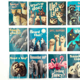 Pet Tape Pre - cut - MIC - Who's There? 70 mm - 6 - MIC & MIM Premium Paper Shop - Tidformera