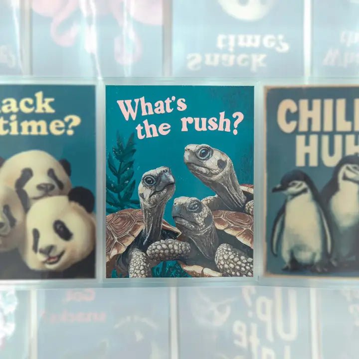 Pet Tape Pre - cut - MIC - Who's There? 70 mm - 4 - MIC & MIM Premium Paper Shop - Tidformera