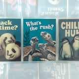 Pet Tape Pre - cut - MIC - Who's There? 70 mm - 4 - MIC & MIM Premium Paper Shop - Tidformera