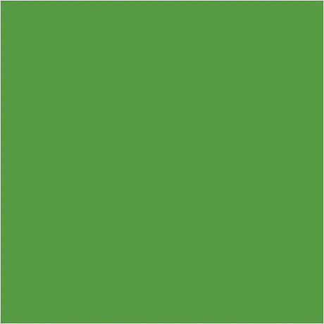 Plus Color Hobbyfärg - Akrylfärg 60 ml Matt - Bright Green - Creative Company - Tidformera