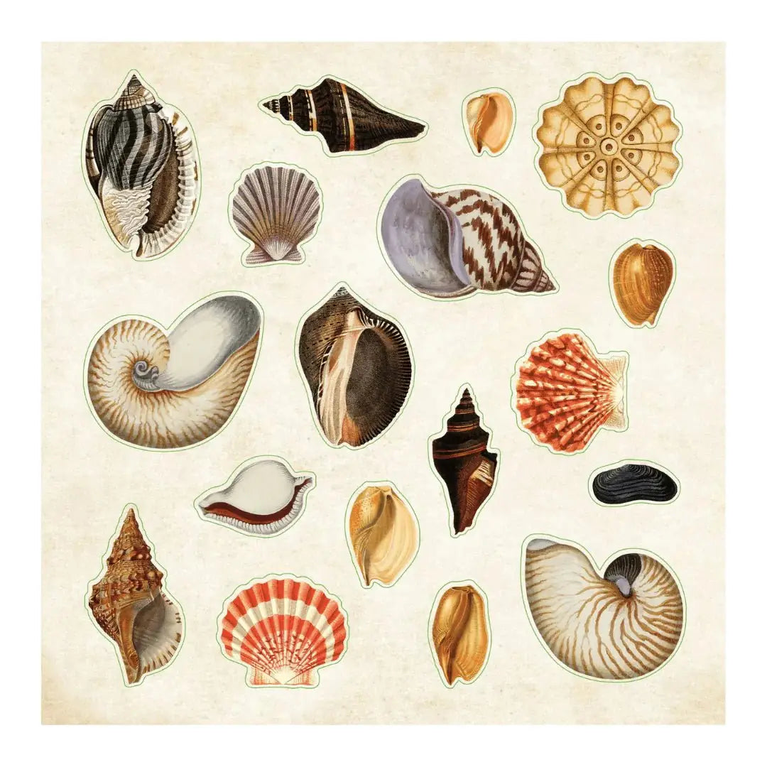 Poseidon's Kingdom - Sticker book - 2 - Peter Pauper Press - Tidformera