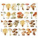 Pre cut Pet Tape - Penpaling Paula - Mushrooms 60 mm - 2 - Penpaling Paula - Tidformera