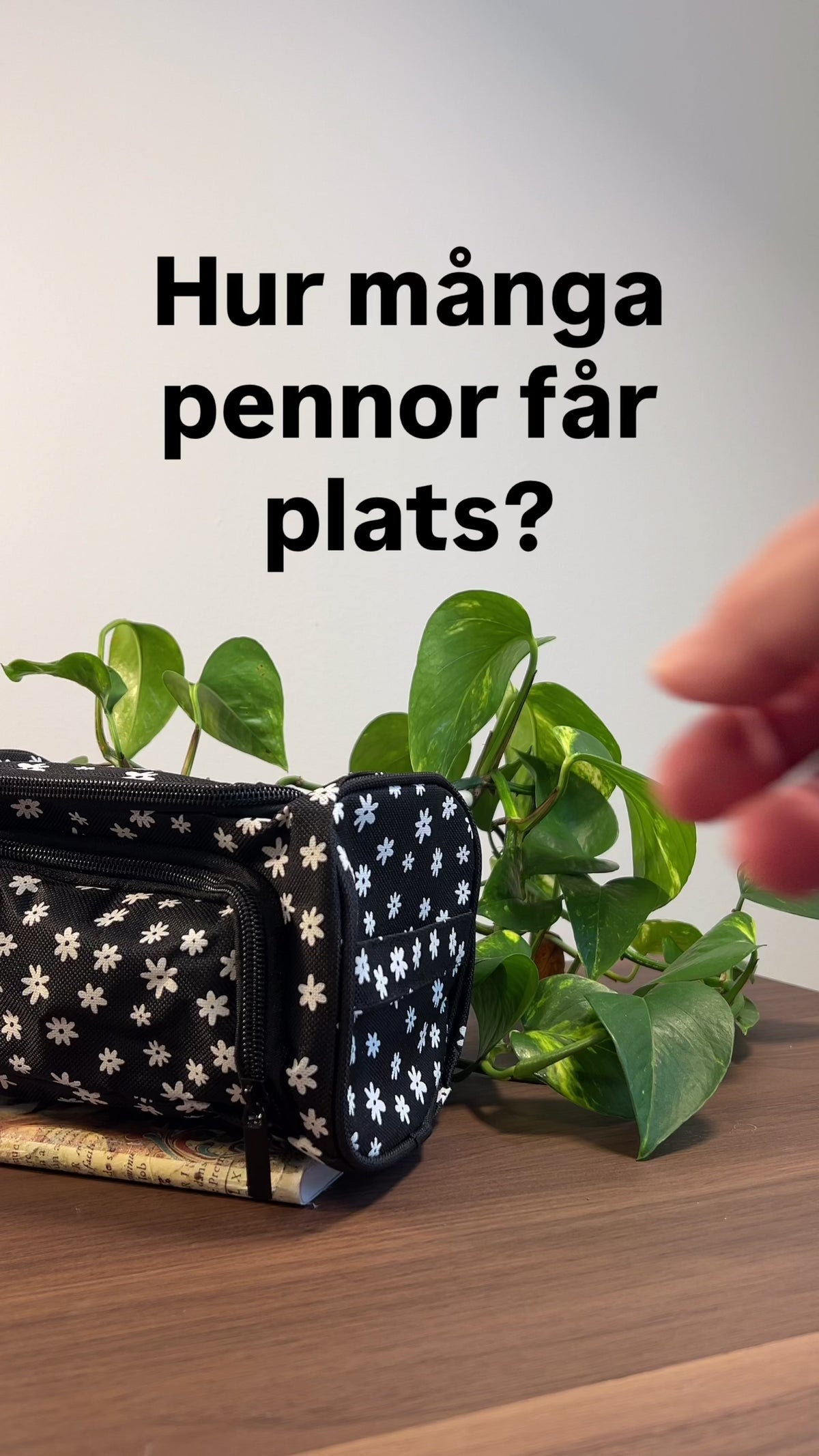 Pencil Case Storage Pencil Case