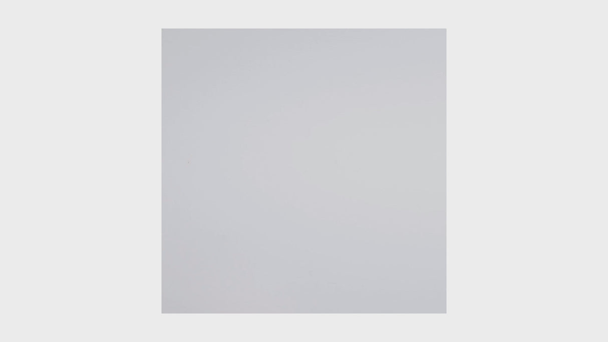 Video - Shiny Starlet dotted notebooks från Nuuna. Tidformera