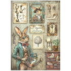 Rice Paper A4 - Alterego - Rabbit - 1 - Stamperia - Tidformera