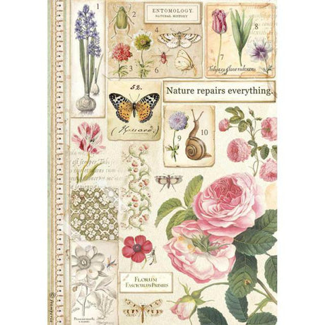 Rice Paper A4 Botany - 1 - Stamperia - Tidformera