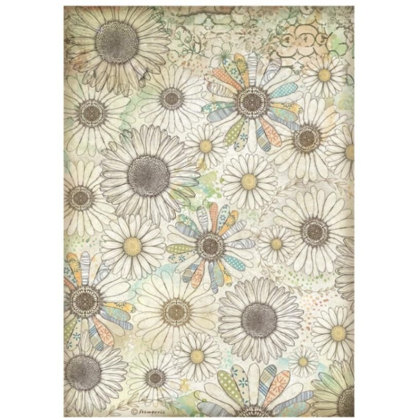 Rice Paper A4 - Daisy Art - Daisy Pattern - 1 - Stamperia - Tidformera