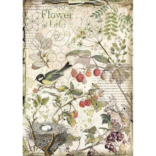 Rice Paper A4 - Forest flowers and fruits - 1 - Stamperia - Tidformera
