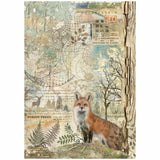 Rice Paper A4 - Forest - Fox - 1 - Stamperia - Tidformera