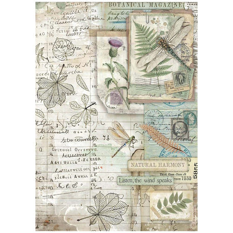 Rice Paper A4 - Herbarium Silvae - 6 - pack - 3 - Stamperia - Tidformera